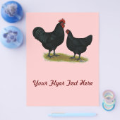 Jersey Giant Chickens Flyer (Enkel)