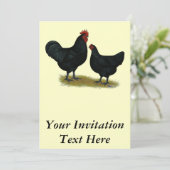 Jersey Giant Chickens Kaart (Staand voorkant)