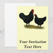 Jersey Giant Chickens Kaart (Voorkant / Achterkant)
