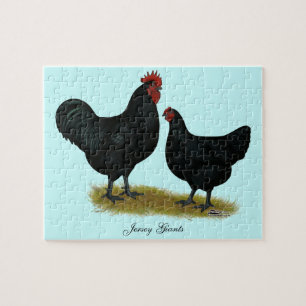 Jersey Giant Chickens Legpuzzel