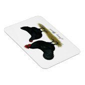Jersey Giant Chickens Magneet (Rechterzijde)
