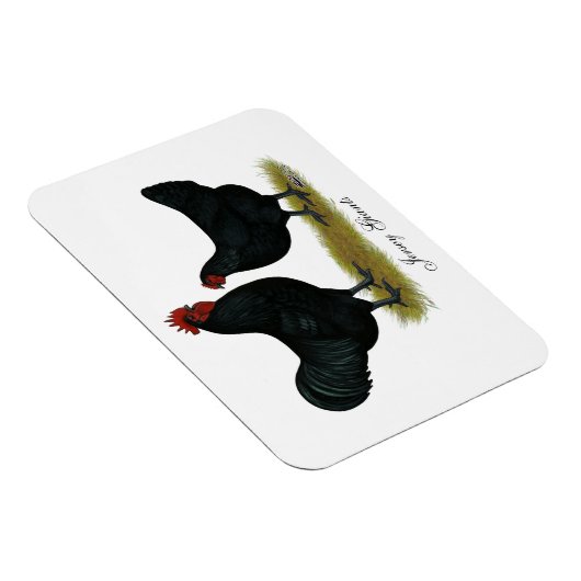 Jersey Giant Chickens Magneet (Rechterzijde)