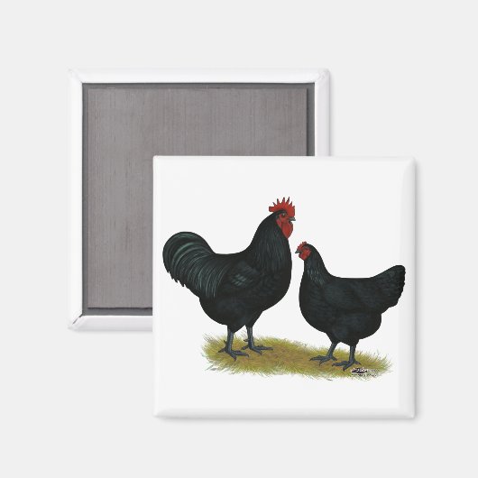 Jersey Giant Chickens Magneet (Voorkant / Achterkant)