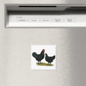 Jersey Giant Chickens Magneet (Insitu (Vaatwasser))