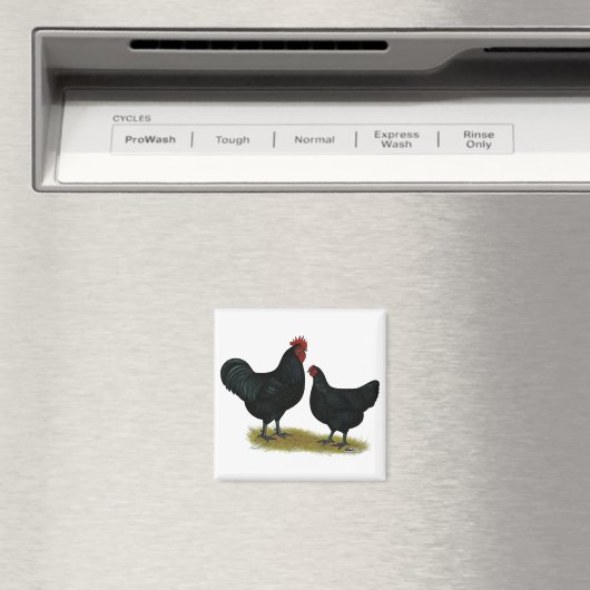 Jersey Giant Chickens Magneet (Insitu (Vaatwasser))