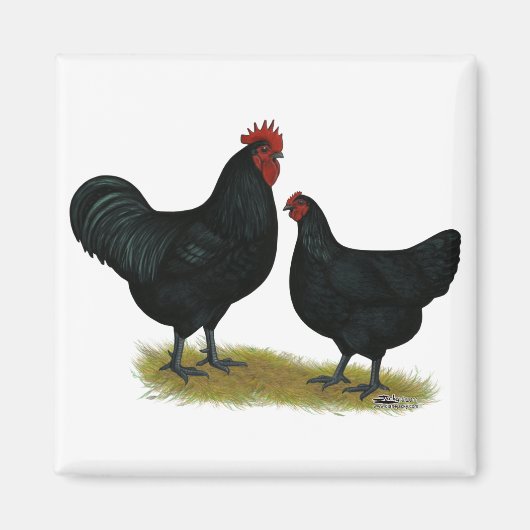 Jersey Giant Chickens Magneet (Voorkant)