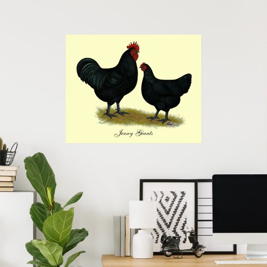 Jersey Giant Chickens Poster (Thuiskantoor)