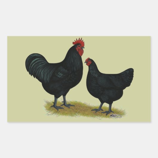 Jersey Giant Chickens Rechthoekige Sticker (Voorkant)