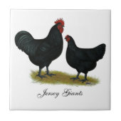 Jersey Giant Chickens Tegeltje (Voorkant)