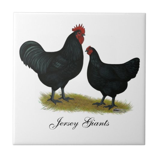 Jersey Giant Chickens Tegeltje (Voorkant)
