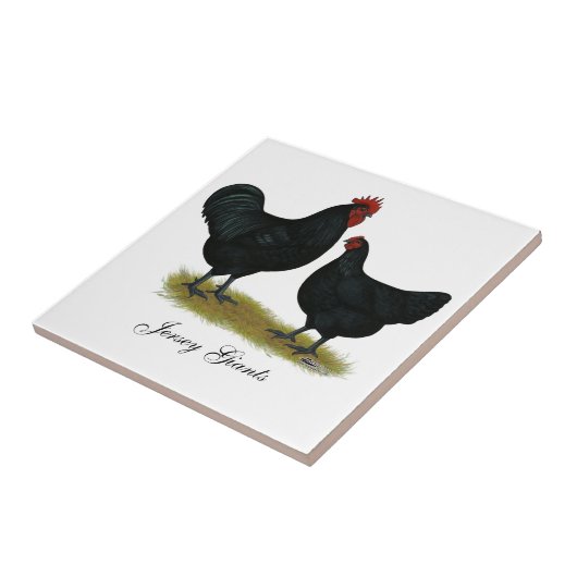 Jersey Giant Chickens Tegeltje (Zijkant)