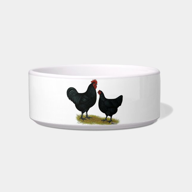 Jersey Giant Chickens Voerbakje (Voorkant)