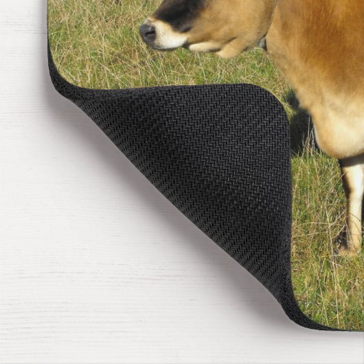 Jersey koe in St. John Muismat (Hoek)