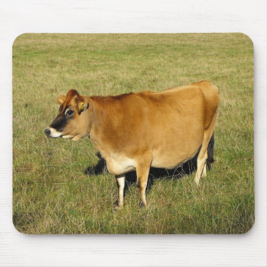 Jersey koe in St. John Muismat (Voorkant)