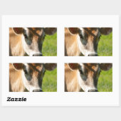 Jersey Koe Stare Rechthoekige Sticker (Vel)