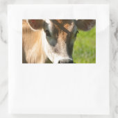 Jersey Koe Stare Rechthoekige Sticker (Tas)
