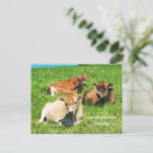 Jersey koeien boerderijdieren briefkaart (Staand voorkant)