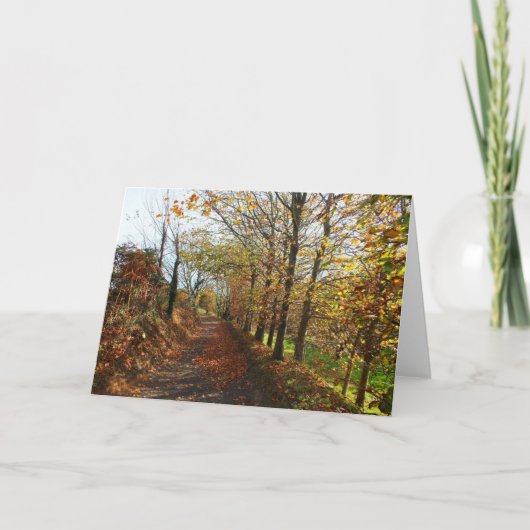 Jersey laan in de herfst feestdagen kaart (Voorkant)