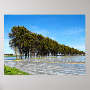 Jersey landschap in lente poster