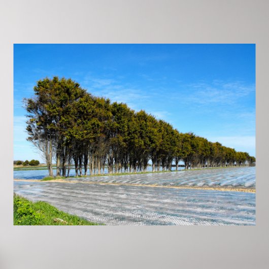 Jersey landschap in lente poster (Voorkant)