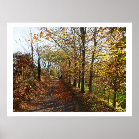 Jersey lane in het najaar poster (Voorkant)
