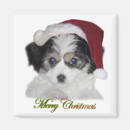 Jersey Santa Kerstmis Magnet (Voorkant)