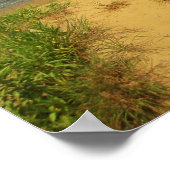 Jersey Shore 2 Poster (Hoek)