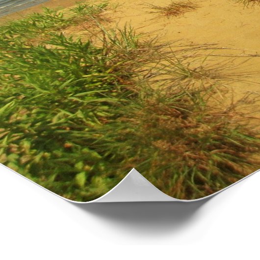 Jersey Shore 2 Poster (Hoek)