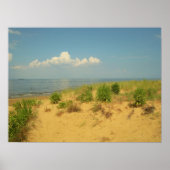 Jersey Shore 2 Poster (Voorkant)