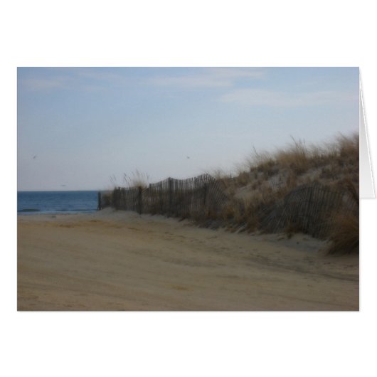 Jersey Shore * Zachte strand (Voorkant Horizontaal)