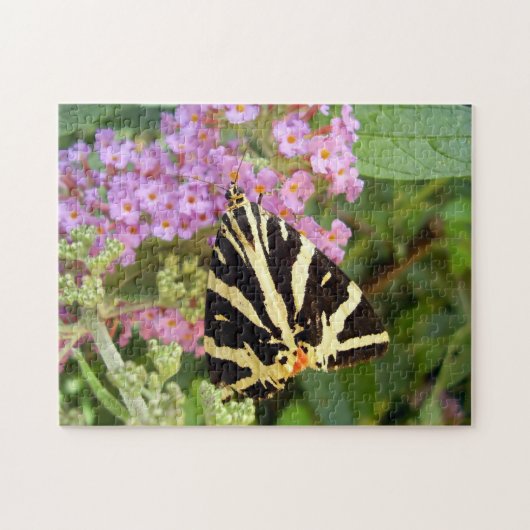 Jersey Tiger Butterfly Foto Puzzle met Gift Box Legpuzzel (Horizontaal)