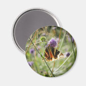 Jersey Tiger Moth Magnet (Voorkant / Achterkant)