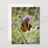 Jersey Tiger Moth Magnet Briefkaart (Voorkant / Achterkant)