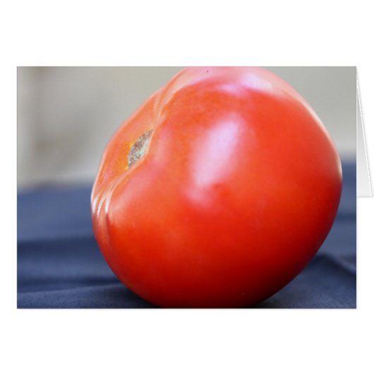 Jersey Tomato 1 (Voorkant Horizontaal)