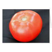 Jersey Tomato 3 (Voorkant Horizontaal)