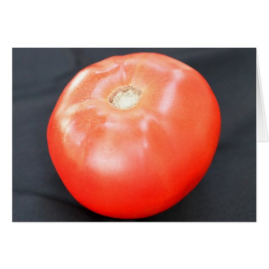 Jersey Tomato 3 (Voorkant Horizontaal)