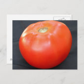 Jersey Tomato 4 Briefkaart (Voorkant / Achterkant)