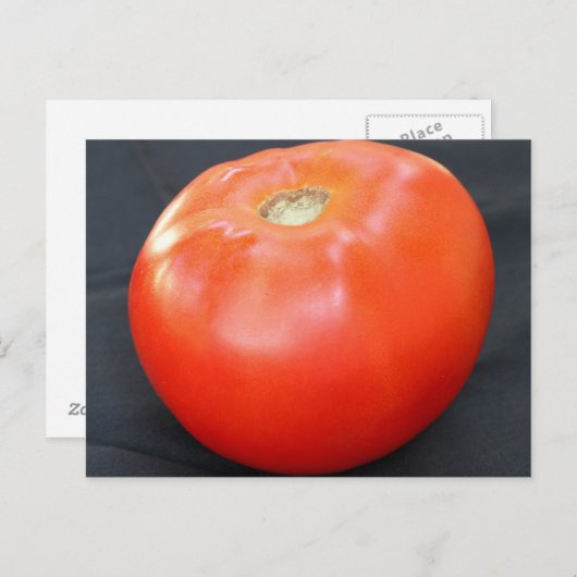 Jersey Tomato 4 Briefkaart (Voorkant / Achterkant)