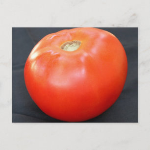 Jersey Tomato 4 Briefkaart