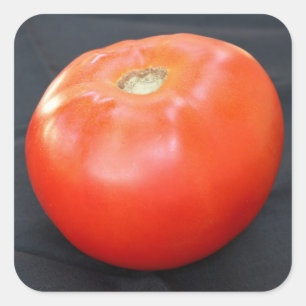 Jersey Tomato 4 Vierkante Sticker