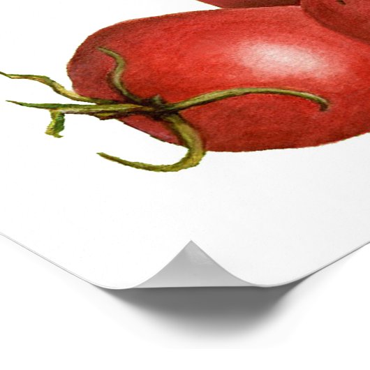 Jersey Tomato Poster (Hoek)