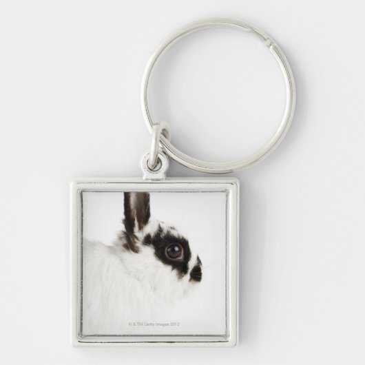 Jersey Wooly Rabbit Sleutelhanger (Voorkant)