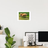 Jerseykoe op Jersey Kanaaleilanden Poster (Thuiskantoor)