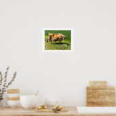 Jerseykoe op Jersey Kanaaleilanden Poster (Keuken)