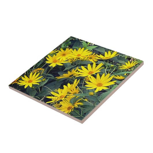 Jerusalem Artichoke Flowers Tegeltje (Zijkant)