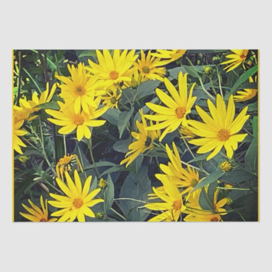 Jerusalem Artichoke Flowers Tissuepapier (Voorkant)