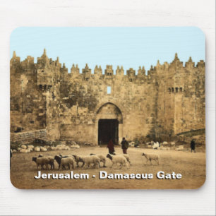 Jerusalem - Damascus Gate Muismat