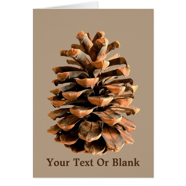 Jerusalem Pine Cone (Voorkant)