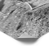 Jerusalem Pole Vault, jaren '30 Poster (Hoek)