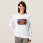 Jerusalem Rocks in de winter bij Sweetgrass T-shirt (Voorkant volledig)